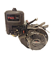 Briggs & Stratton 750 series 163cc Motor 19mm
