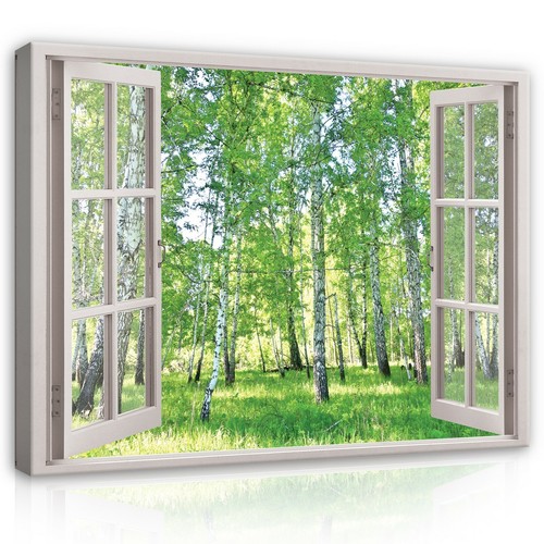 Fensterblick wald natur - wald,