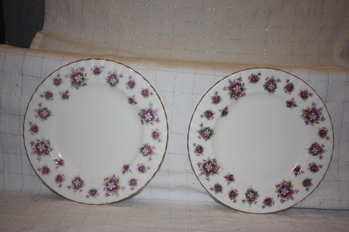 34b nb1334 royal albert sweet - nb1334,