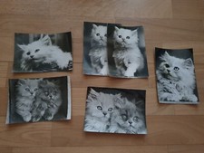 diverse AK Postkarten