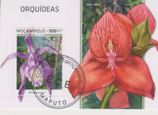 Blumen orchideen mosambik - blumen,