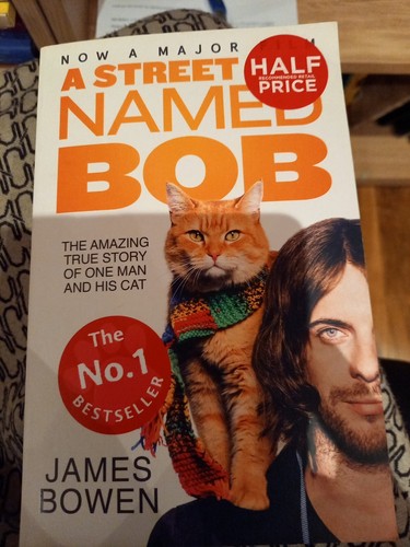 Street cat named - bob:, how