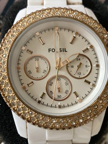 Wunderschöne weiße fossil - wunderschöne,