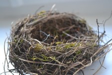 NEST Vogelnest,echt singvogelnest Eule,Deko Flyer,Singvogel,shabby