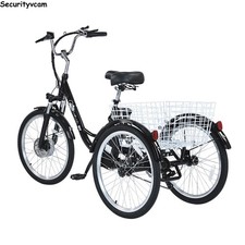 24-Zoll-Elektrodreirad, 350 W