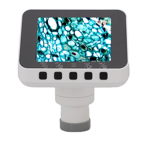 Zoll display wifi - zoll,