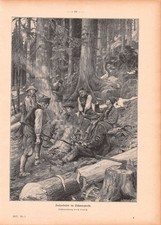 Holzarbeiter im Schwarzwald - Curt Liebich - 1907 - Histor. Holzstich ~21x30cm