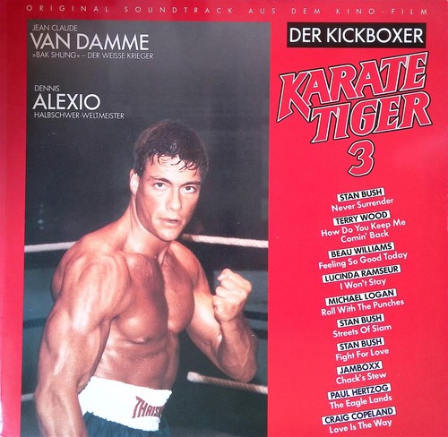 Karate tiger der kickboxer - karate,