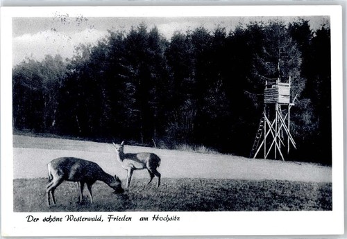 51298403 6251 fussingen - 6251,