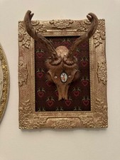 22x Reh Bock Gwichtl Geweih