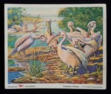 VOSS Margarine Kunstbilder