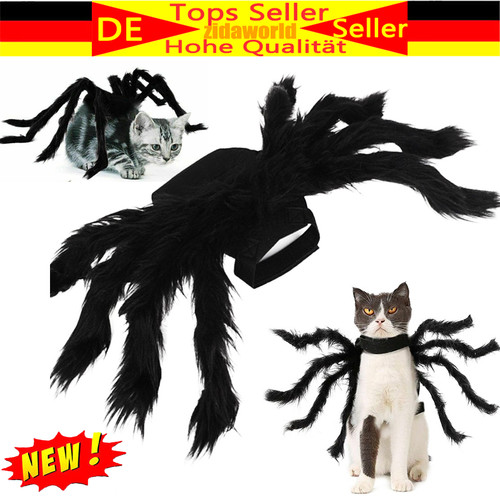 Tier haustier hund katze - tier,