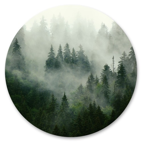 Sticker kreis bäume nebel - kreis,