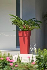 XXL Blumentopf mit Einsatz 80