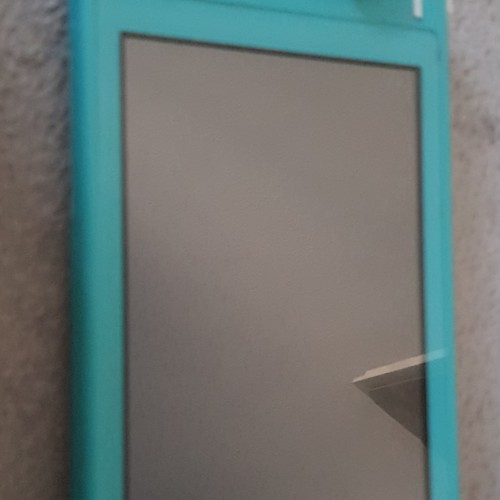 Nintendo switch lite - switch,