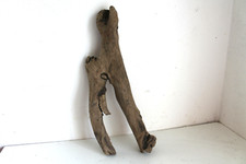Schwemmholz Treibholz Skulptur