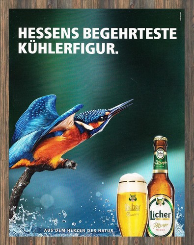 Licher bier reklame - licher,
