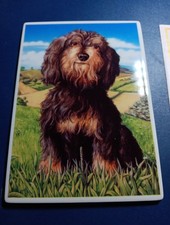 VilboCard Hund Postkartengrösse