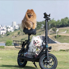 NEW 550W Electric Scooter with