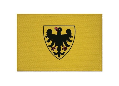 Aufnäher sinsheim patch - 9, x