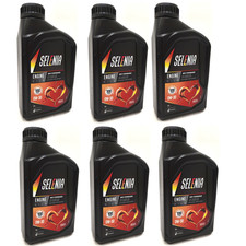 Petronas Selenia WR Forward