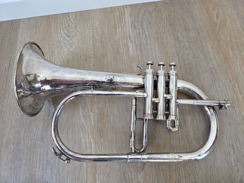 Flugelhorn schenkelaars - flugelhorn,