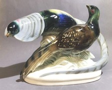 Buntes Fasanen-Paar, Balz