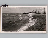 50193667 - 2980 Norddeich