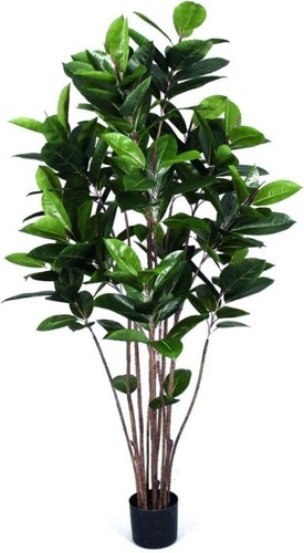Europalms gummibaum 120cm - gummibaum,,
