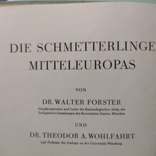 Die Schmetterlinge