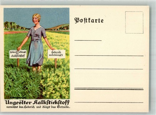 14006167 ungeoelter - -,