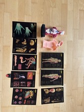 Grundschule Lehrmaterial Wir
