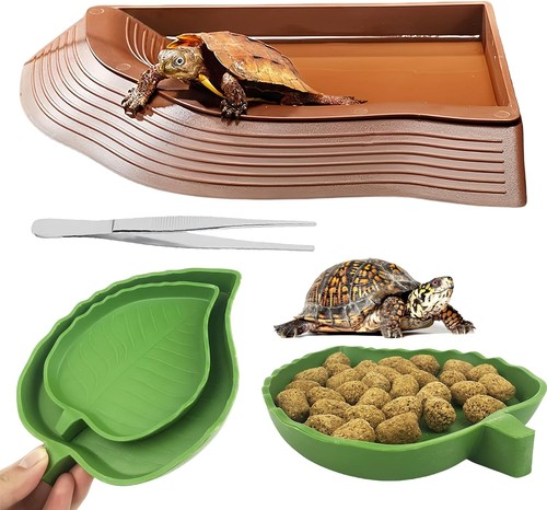 1 schildkröten - in,