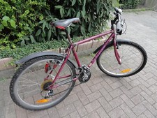 Raleigh Fahrrad  Original USA Mountainbike