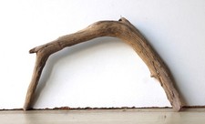 Treibholz Schwemmholz