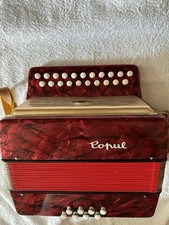 Akkordeon Delicia Popular mit Koffer