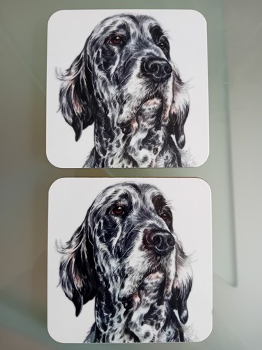 Waggydogz english setter - 2,