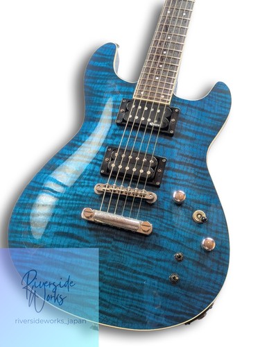 Fernandes apg 55s blue - fernandes, apg-55s