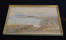 Schwäne haff aquarell - -, haff,