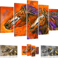 Pferde Bilder Bild auf