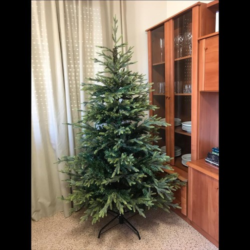 Christbaum weihnachtsbaum - christbaum,