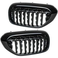 Nieren Grill Kühlergrill