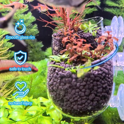 Glas aquarium pflanzkübel - glas,