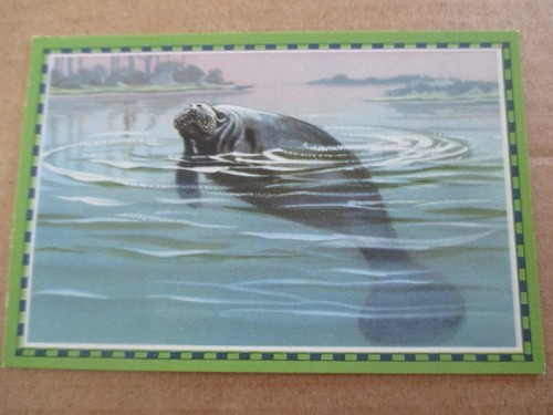 Bild chlorodont süd u - 1.bild,
