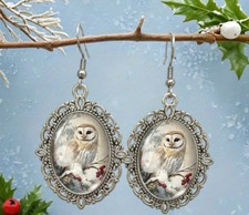 Silberne Ovale Ohrringe