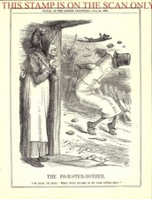 1880 Punch Tenneil (Irish