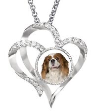 King Charles Spaniel