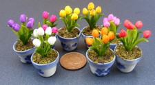 Puppenstube Tulpe Blumen