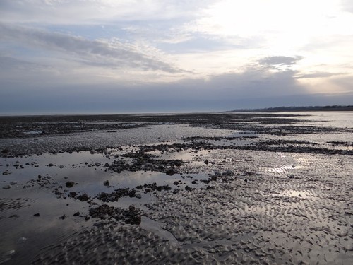 Foto niedrigwasser bei - foto,