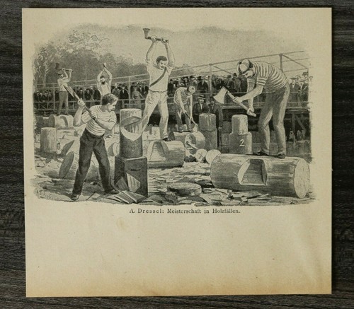 Blatt 1900 meisterschaft - blatt, um
